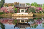 全国最“甜”的城市 是时候出圈了